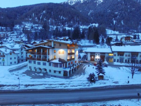 Sport Hotel Stella Alpina Cogolo